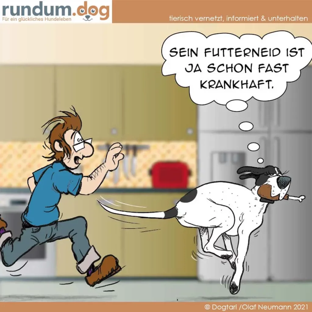Halter rennt hinter weissem Hund her, der an der Leine zieht. Halter denkt: «Sein Flattereneid ist ja schon fast krankhaft.»