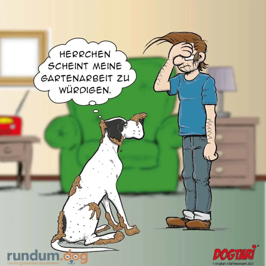 Weiss-brauner Hund sitzt vor Mann im Wohnzimmer, überall Schmutz und Erde, Sprechblase: «Herrchen scheint meine Gartenarbeit zu würdigen»