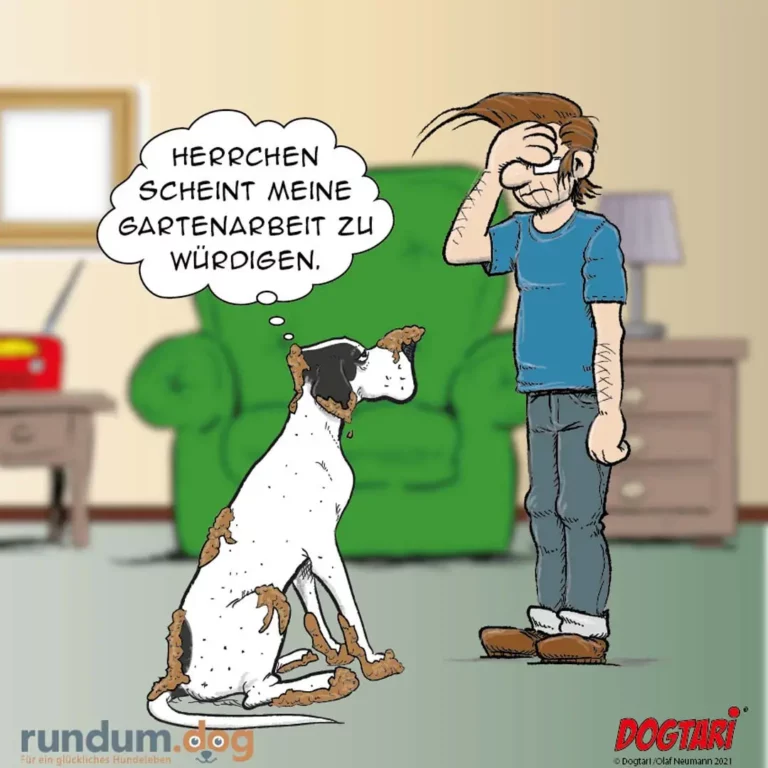 Weiss-brauner Hund sitzt vor Mann im Wohnzimmer, überall Schmutz und Erde, Sprechblase: «Herrchen scheint meine Gartenarbeit zu würdigen»