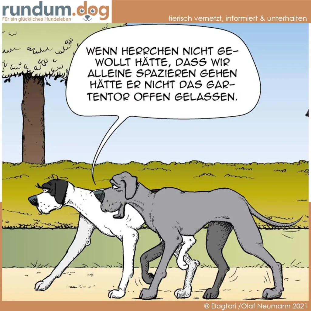 Zwei Hunde auf einer Wiese, der graue Hund spricht zu dem schwarz-weissen Hund in einer Sprechblase