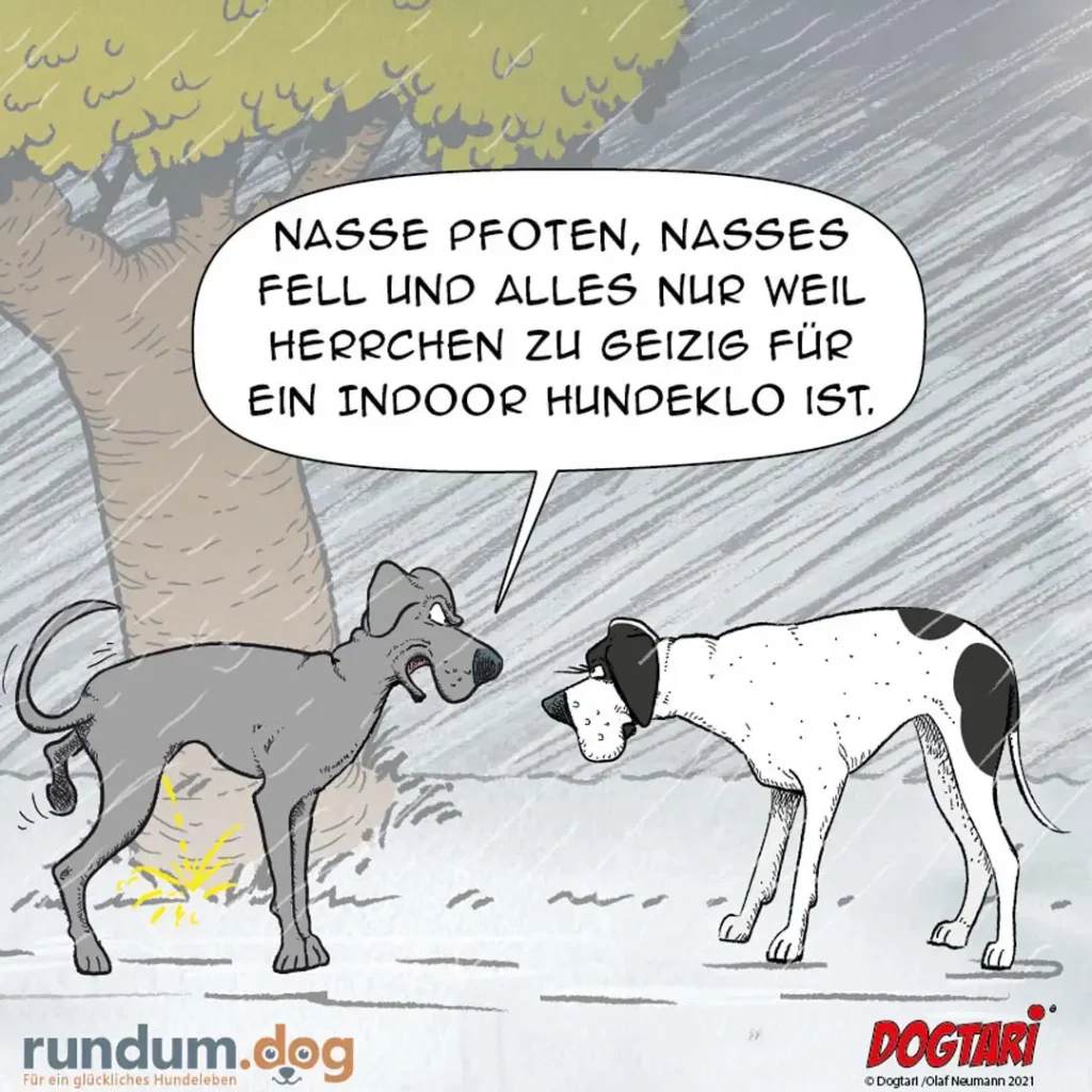 Grauer Hund pinkelt auf Boden und sagt zu weissem Hund: Nasse Pfoten, nasses Fell und alles nur weil Herrchen zu geizig für ein Hundeklo ist