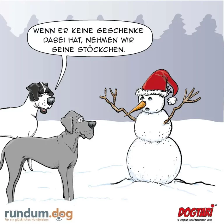 Zwei Hunde im Schnee sprechen mit einem Schneemann: einer sagt, wenn er keine Geschenke hat, nehmen sie seine Stöckchen