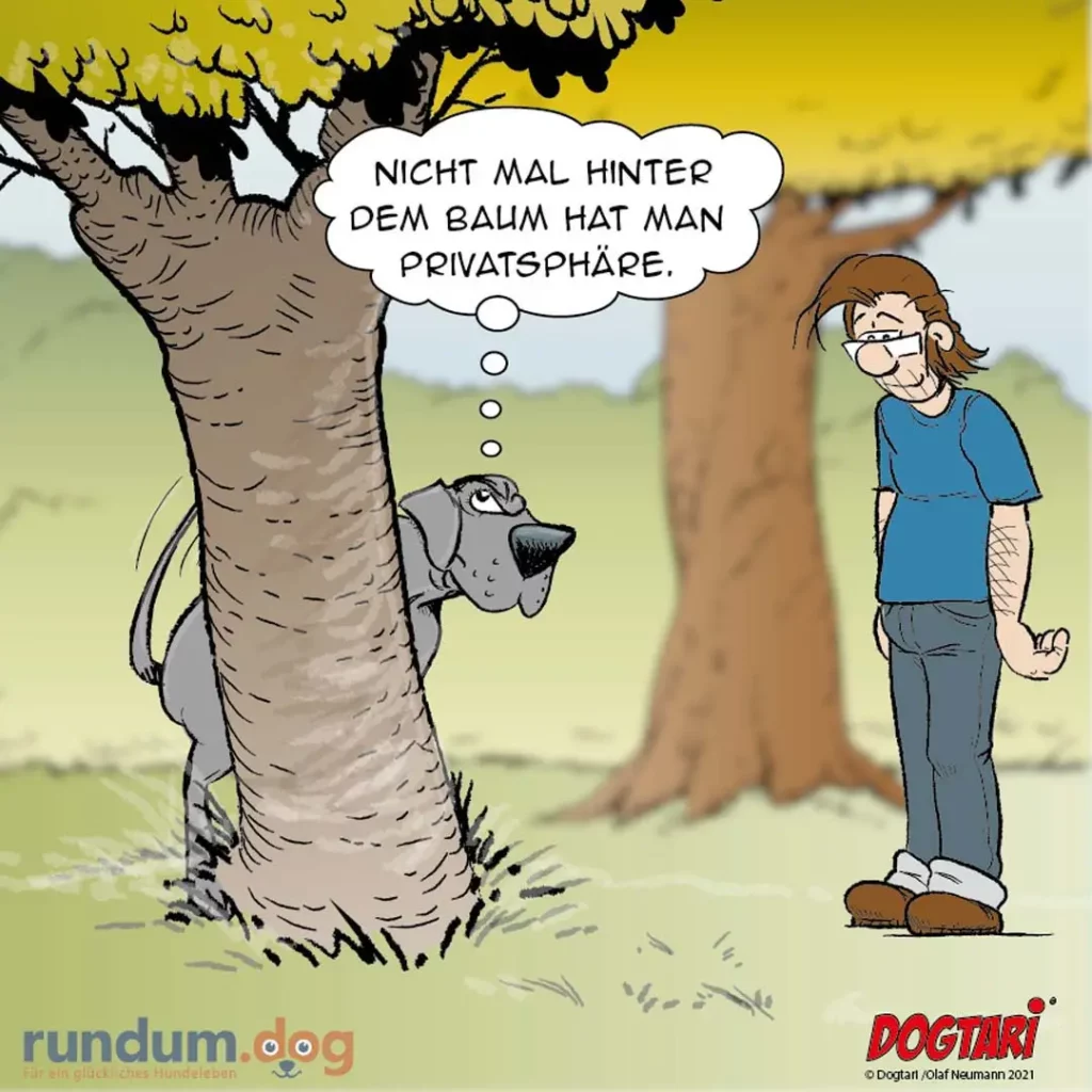 Dogtari 156