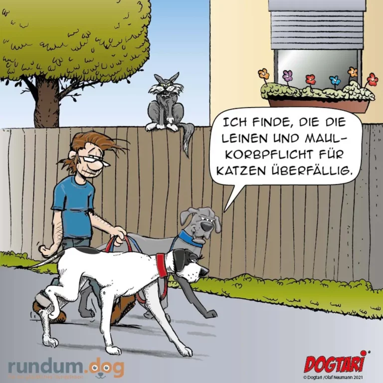 Mann spaziert mit zwei Hunden an der Leine, Katze sitzt auf Zaun und beobachtet sie kritisch