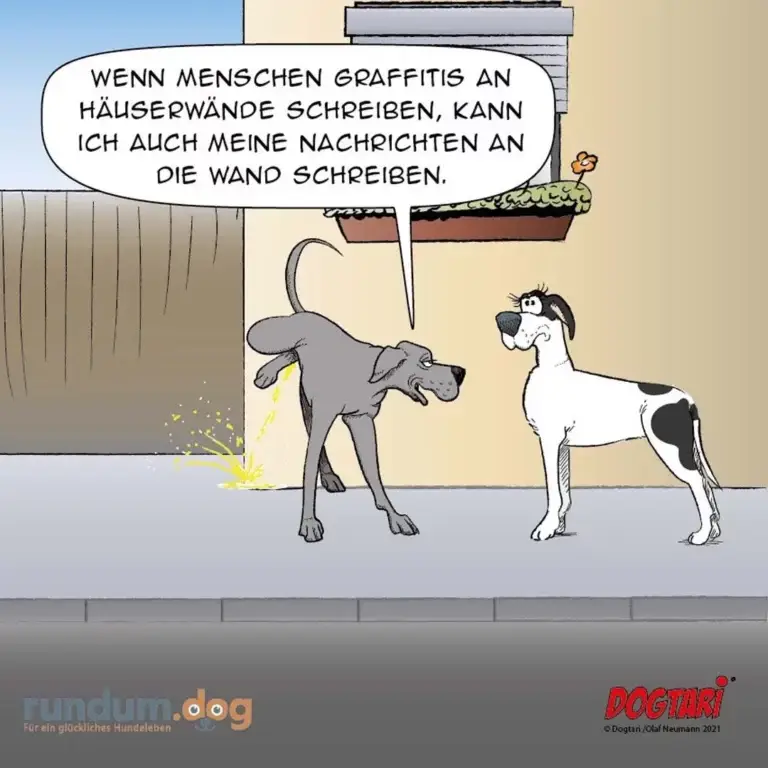 Grauer Hund markiert an Hauswand, weisser Hund daneben schaut zu. Sprechblase: Hund erklärt sein Verhalten mit Graffiti-Vergleich