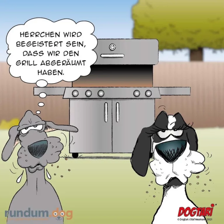 Zwei Hunde vor einem Grill: grauer Hund mit Kochmütze denkt skeptisch, schwarzweisser Hund mit Schürze schaut ratlos