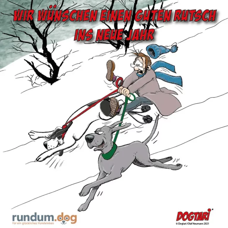 Mann wird von zwei Hunden im Schnee über eine Wiese gezogen, er verliert das Gleichgewicht, Wunschtext oben