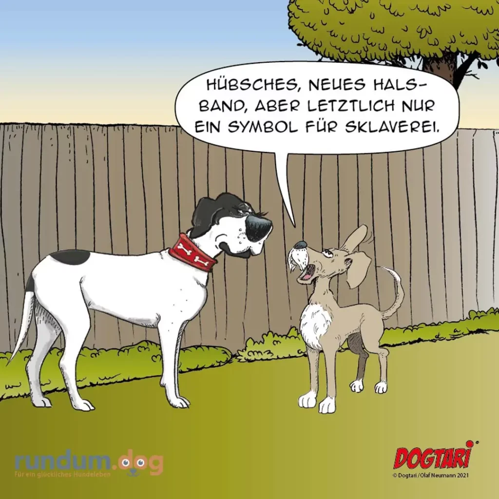 Zwei Hunde im Garten: grosser weisser Hund mit rotem Halsband spricht zu kleinerem braunem Hund