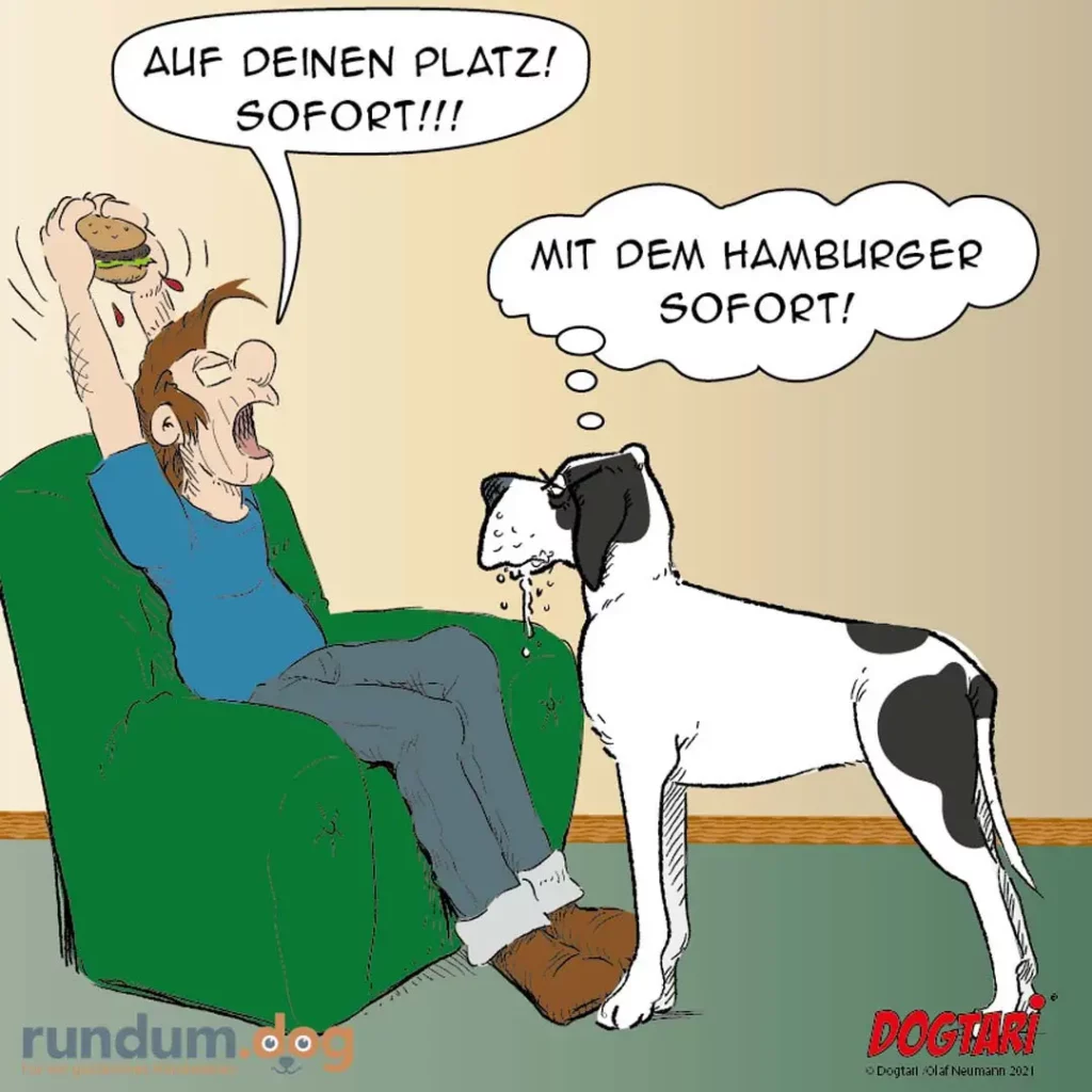 Mann sitzt auf grünem Sessel mit Hamburger in der Hand, Hund steht davor und sabbert, Mann ruft 'Auf deinen Platz, sofort!'