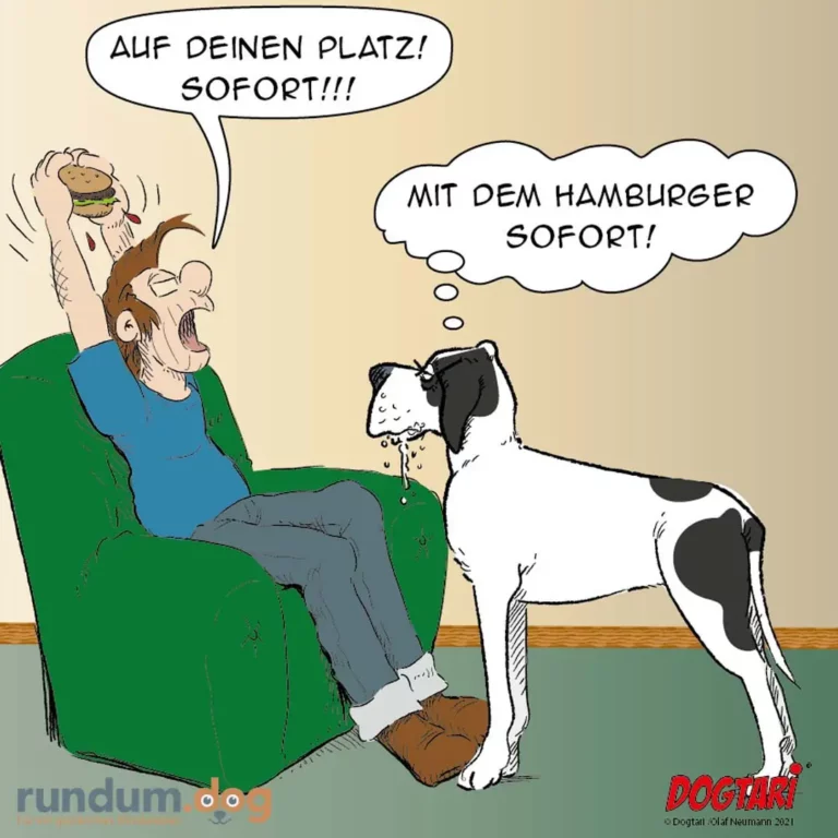 Mann sitzt auf grünem Sessel mit Hamburger in der Hand, Hund steht davor und sabbert, Mann ruft 'Auf deinen Platz, sofort!'