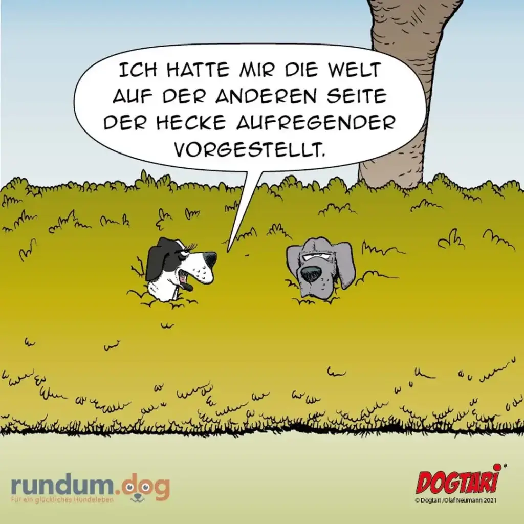 Zwei Hunde graben im Gras: Ein schwarz-weisser Hund spricht zu einem grauen Hund und sagt, er habe die Welt auf der anderen Seite der Hecke aufregender vorgestellt.