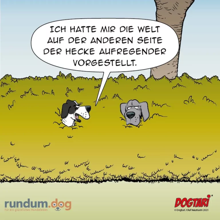 Zwei Hunde graben im Gras: Ein schwarz-weisser Hund spricht zu einem grauen Hund und sagt, er habe die Welt auf der anderen Seite der Hecke aufregender vorgestellt.