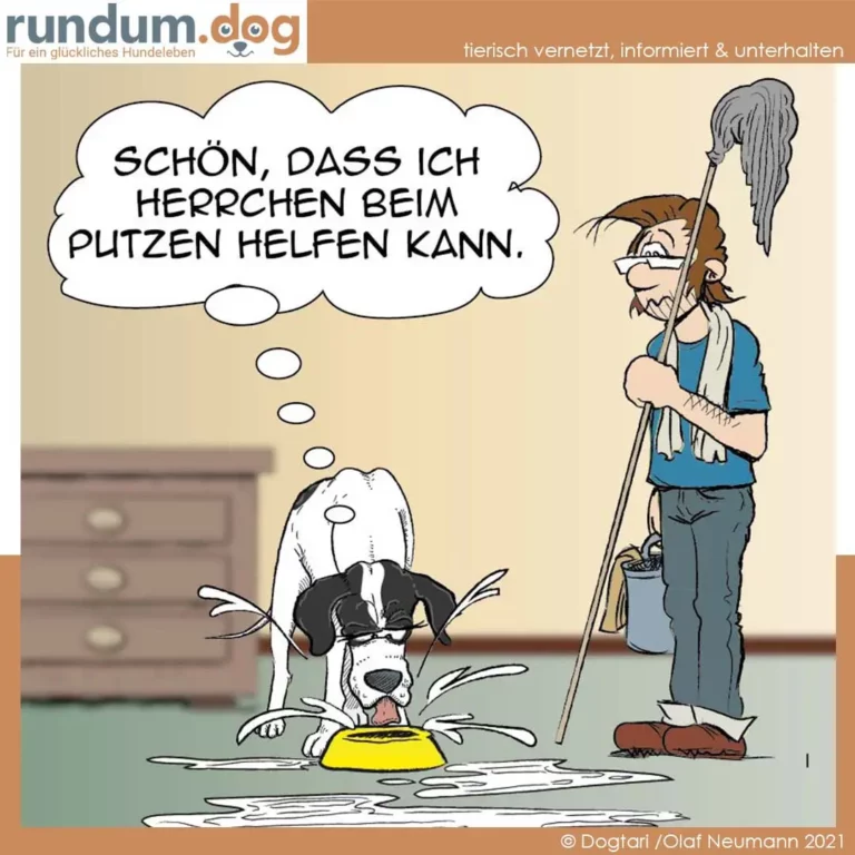 Hund frisst aus gelbem Napf und spritzt Wasser in alle Richtungen, Halter mit Mopp steht daneben und denkt nachdenklich