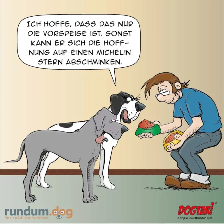 Hund mit offener Schnauze sitzt erwartungsvoll vor Mann, der Vorspeisenteller und Hot Dog hält und spricht