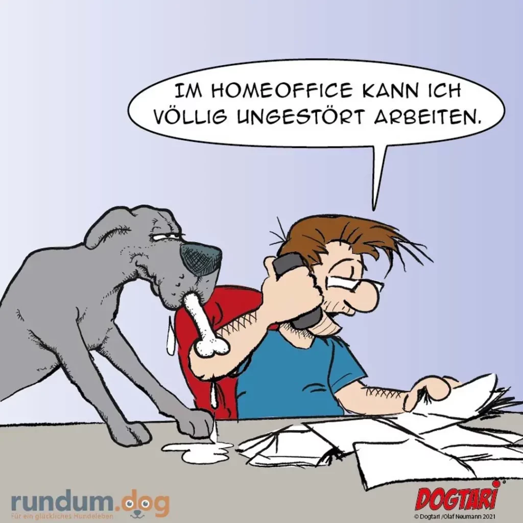 Hund zieht an rotem Stoff, das ein Mann hält, während dieser am Schreibtisch sitzt und sagt, er könne ungestört arbeiten