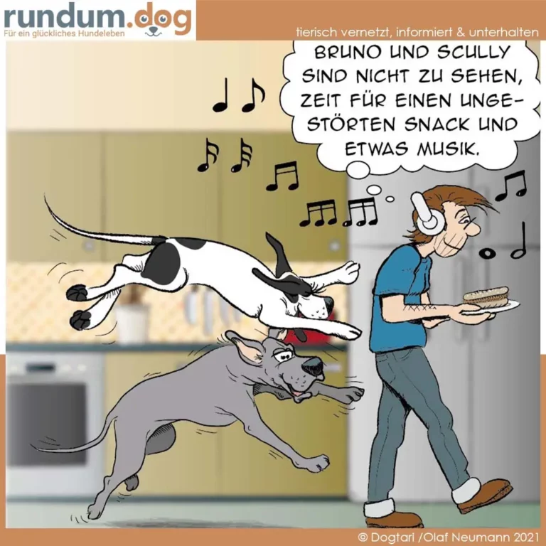 Mann mit Kopfhörern und Tablett steht in der Küche, zwei Hunde tanzen und springen um ihn herum, Musiknoten schweben in der Luft