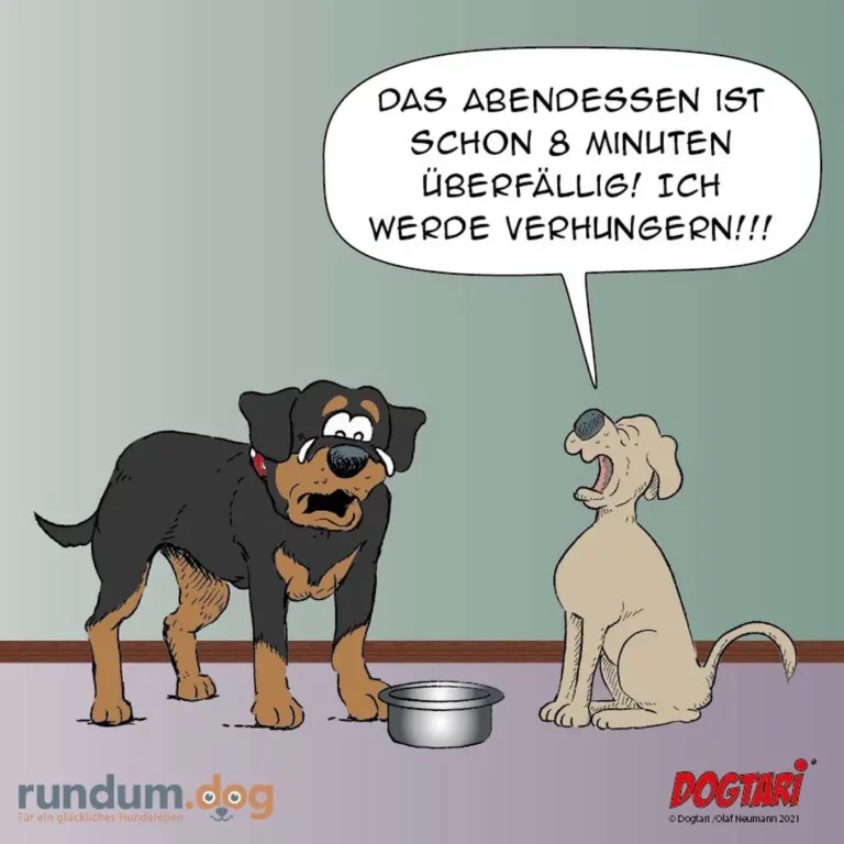 Schwarzer Hund mit Halsband sitzt vor leerem Napf und brüllt aufgeregt, weisser Hund schaut mit offenem Mund zu