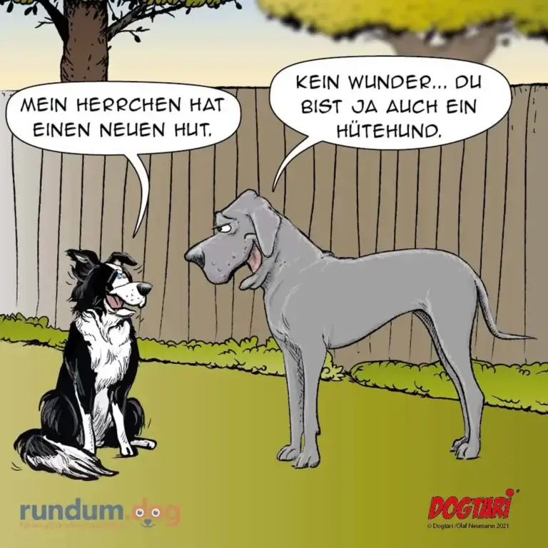 Zwei Hunde unterhalten sich: schwarzweisser kleiner Hund mit Hut sitzt links, grosser grauer Hund steht rechts und antwortet achselzuckend
