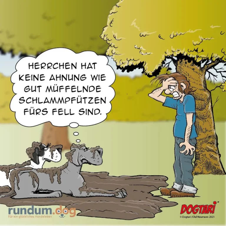Zwei schlammige Hunde sitzen im Schlamm, Mann lehnt an Baum und hält sich die Hand vors Gesicht