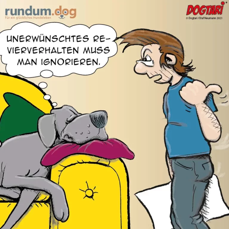 Hund sitzt auf buntem Liegestuhl im Garten und denkt: «Unerwünschtes Reviverhalten muss man ignorieren.» Halter daneben schaut verwirrt.
