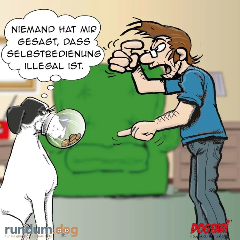 Hund hält einen Napf mit Leckerli in der Schnauze, Halter sitzt auf grünem Sofa und gestikuliert mit erhobenen Händen, Sprechblase mit deutschem Text