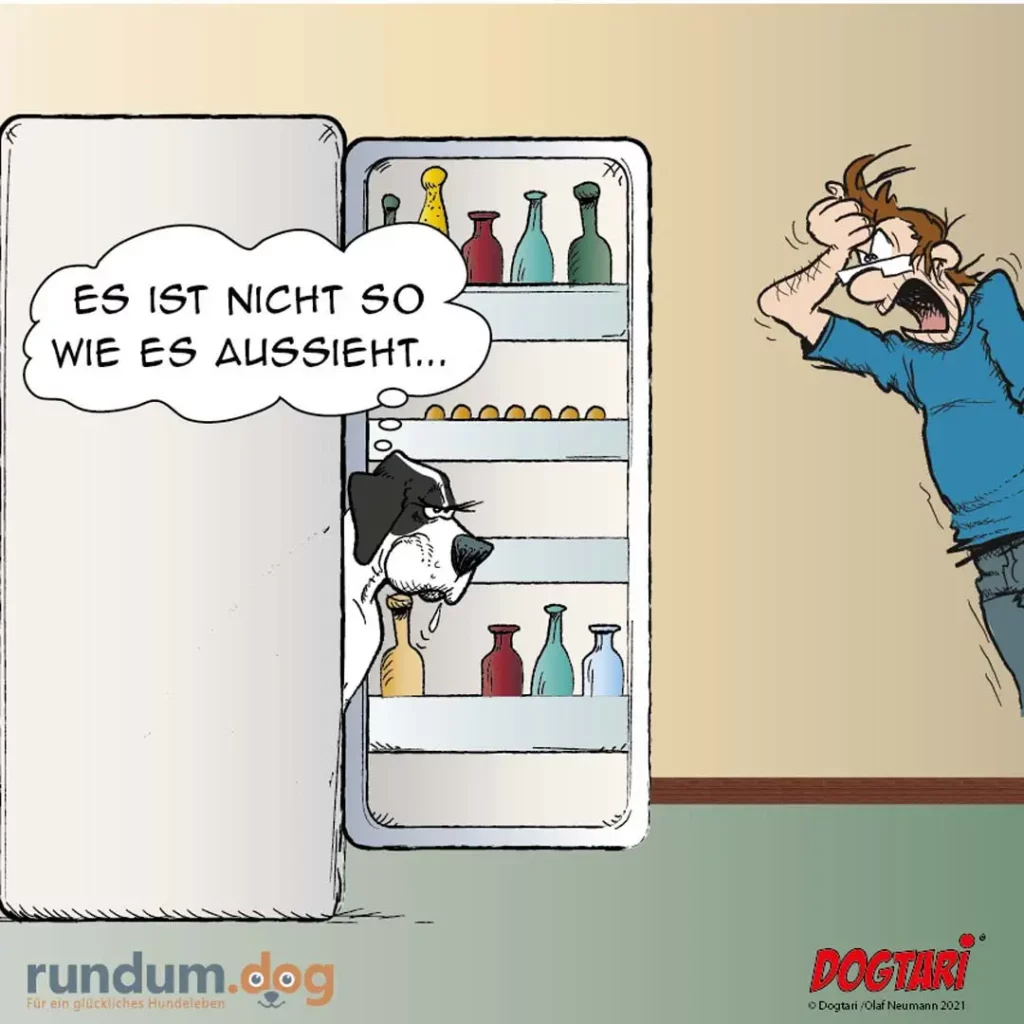 Schwarz-weisser Hund sitzt in offener Kühlschranktür zwischen Flaschen, sagt "Es ist nicht so wie es aussieht", Halter schaut entsetzt herein