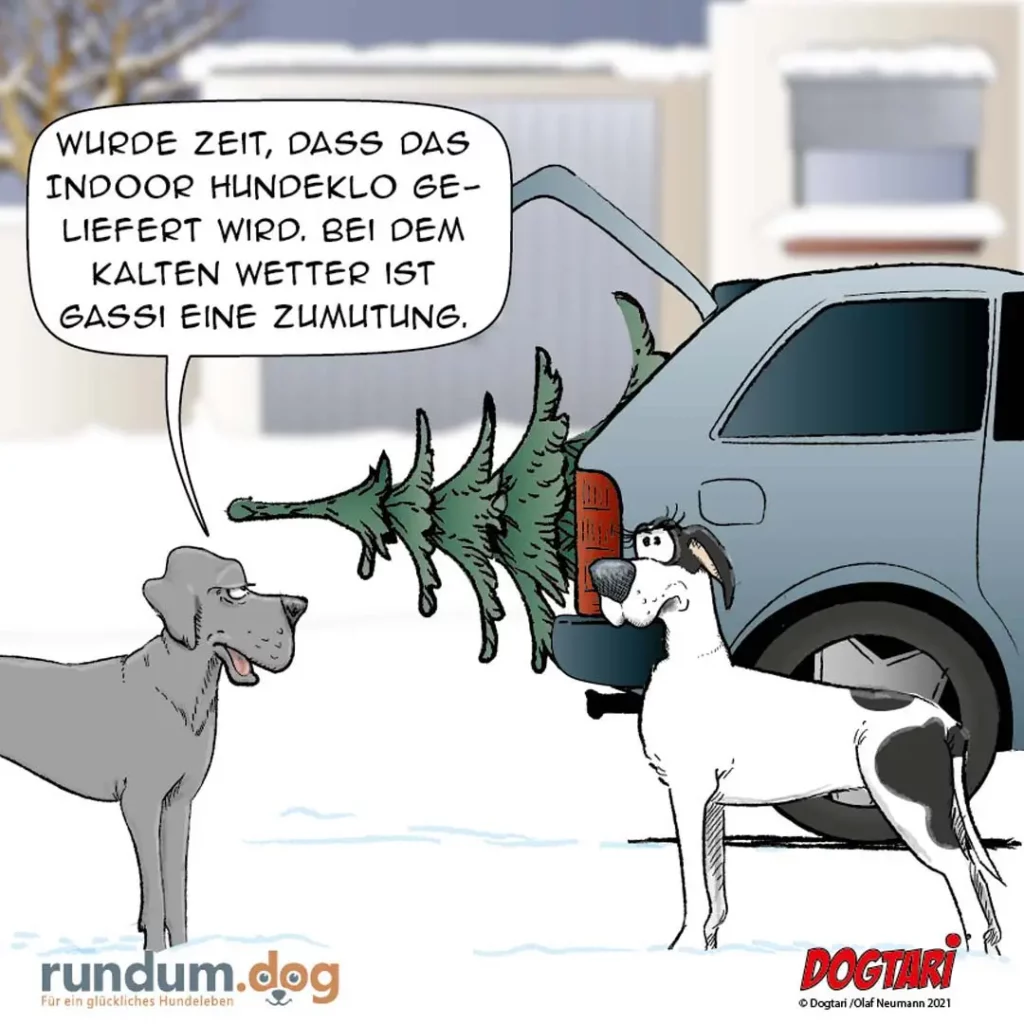 Weisser Hund mit Weihnachtsbaum im Maul spricht zu grauem Hund: «Wurde Zeit, dass das Indoor-Hundeklo geliefert wird. Bei dem kalten Wetter ist Gassi eine Zumutung.»