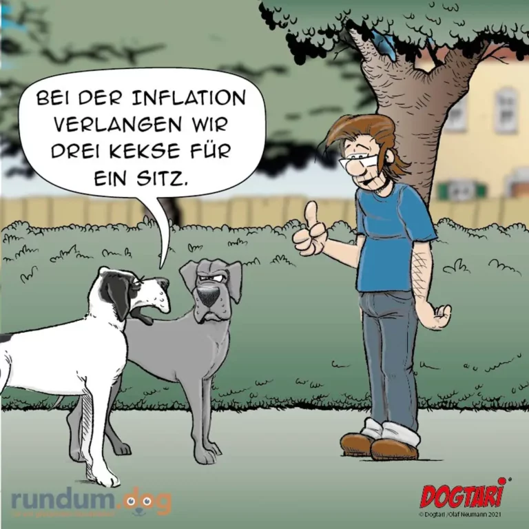 Halter mit zwei Hunden im Park, sagt: Bei der Inflation verlangen wir drei Kekse für ein Sitz