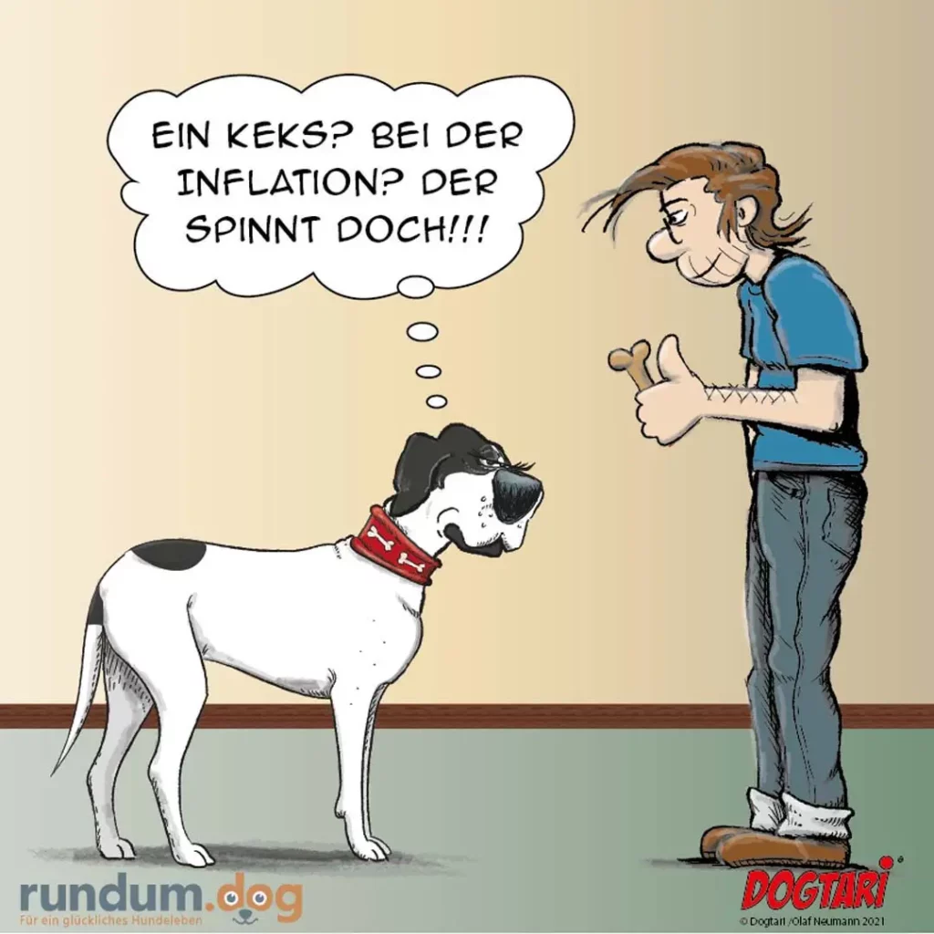 Hund mit rotem Halsband schaut Halter an, dieser gestikuliert aufgeregt und denkt über Kekse und Inflation nach
