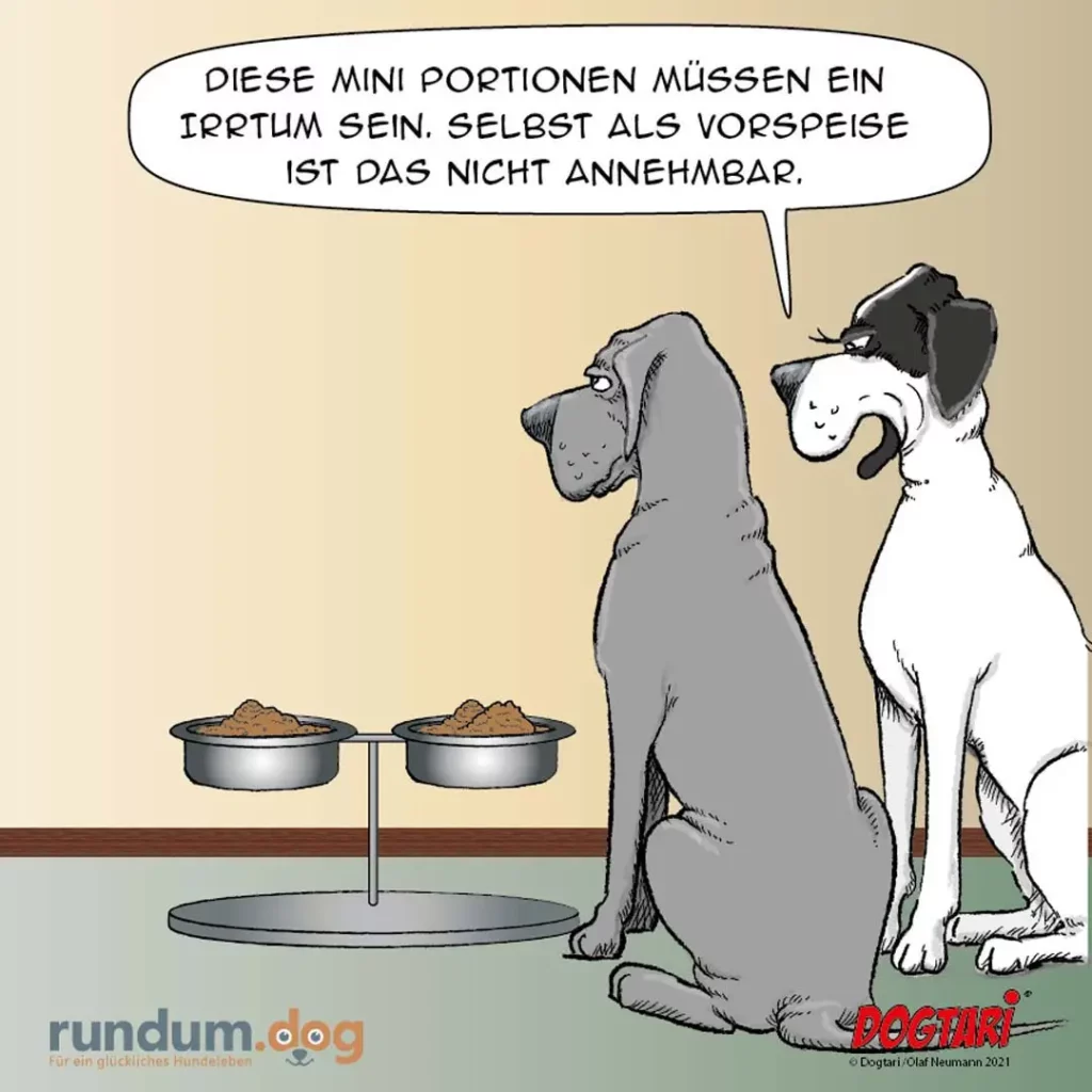 Grauer Hund erklärt weissem Hund vor zwei kleinen Futternäpfen auf einer Waage: Diese Mini-Portionen müssen ein Irrtum sein.