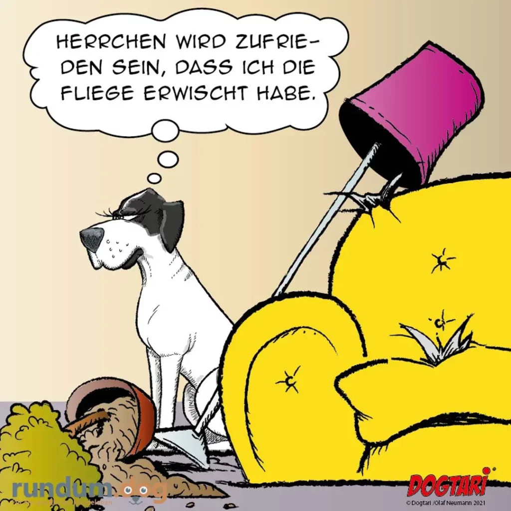 Schwarz-weisser Hund sitzt neben grossem gelbem Mülleimer mit magentafarbenem Deckel und denkt: «Herrchen wird zufrieden sein, dass ich die Fliege erwischt habe.»