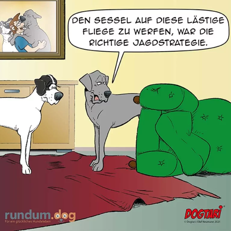 Grauer Hund erklärt schwarzweissem Hund vor Hecke seine Jagdstrategie, im Hintergrund Bild eines Hundes mit Vogel