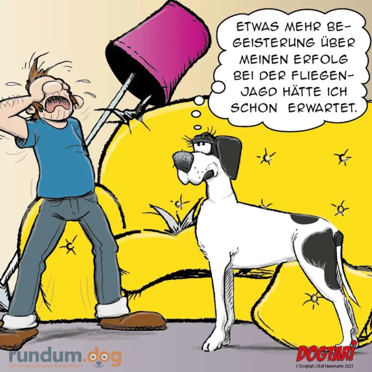 Mann mit pinkfarbenem Eimer schaufelt auf sonniger Wiese, weiss-schwarzer Hund schaut erwartungsvoll zu