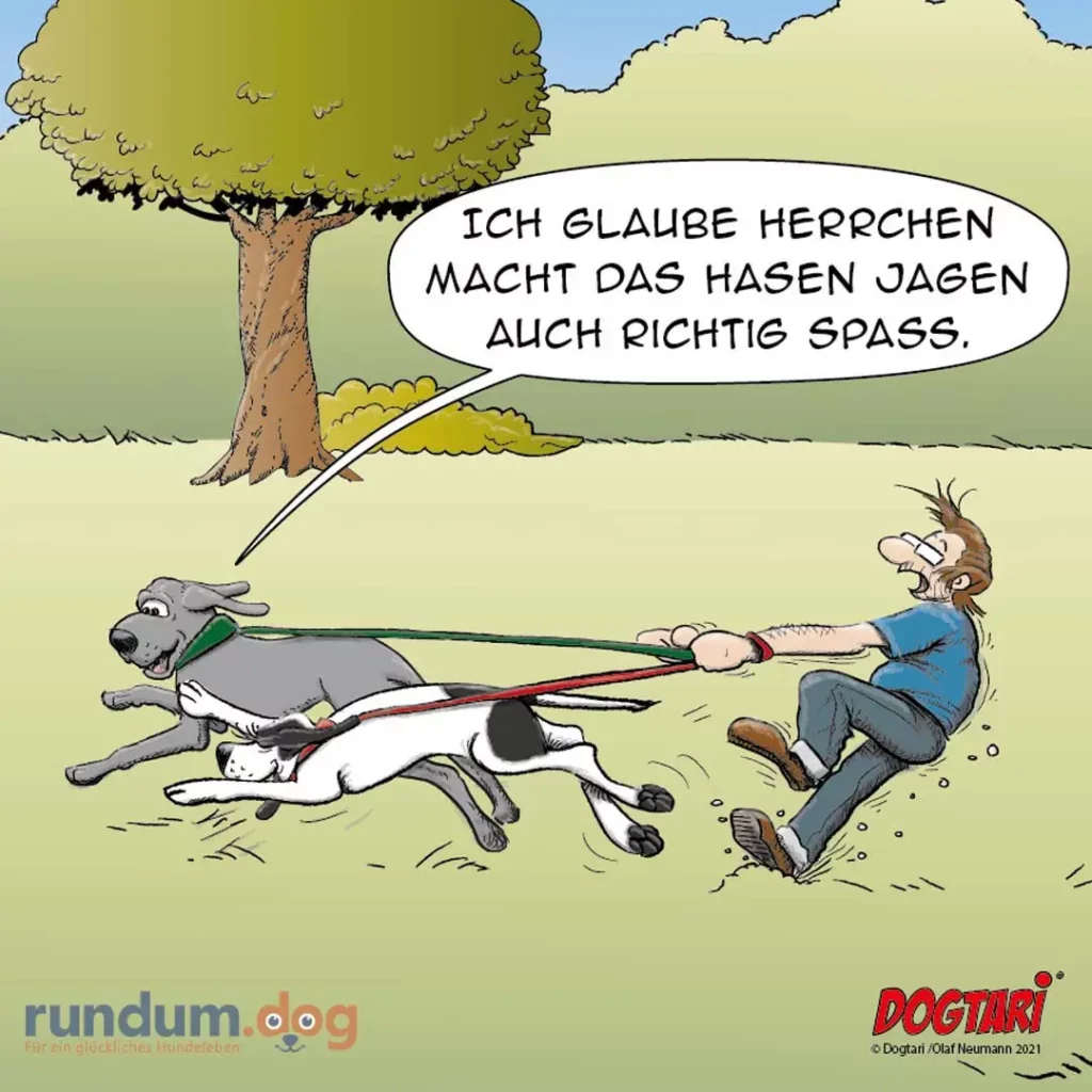 Halter wird von zwei Hunden an der Leine gezogen und fliegt durch die Luft, sagt: «Ich glaube Herrchen macht das Hasen jagen auch richtig Spass»