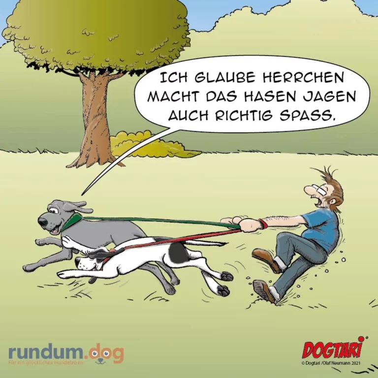 Halter wird von zwei Hunden an der Leine gezogen und fliegt durch die Luft, sagt: «Ich glaube Herrchen macht das Hasen jagen auch richtig Spass»