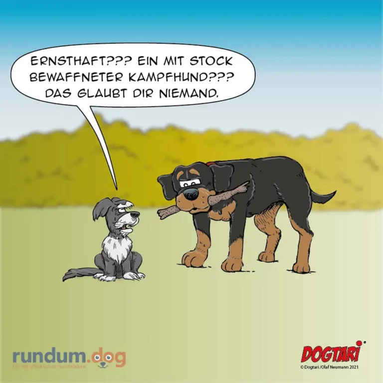 Kleiner weiss-schwarzer Hund sitzt vor grossem schwarzbraun gefärbtem Kampfhund, der einen Stock hält und ihn anspricht