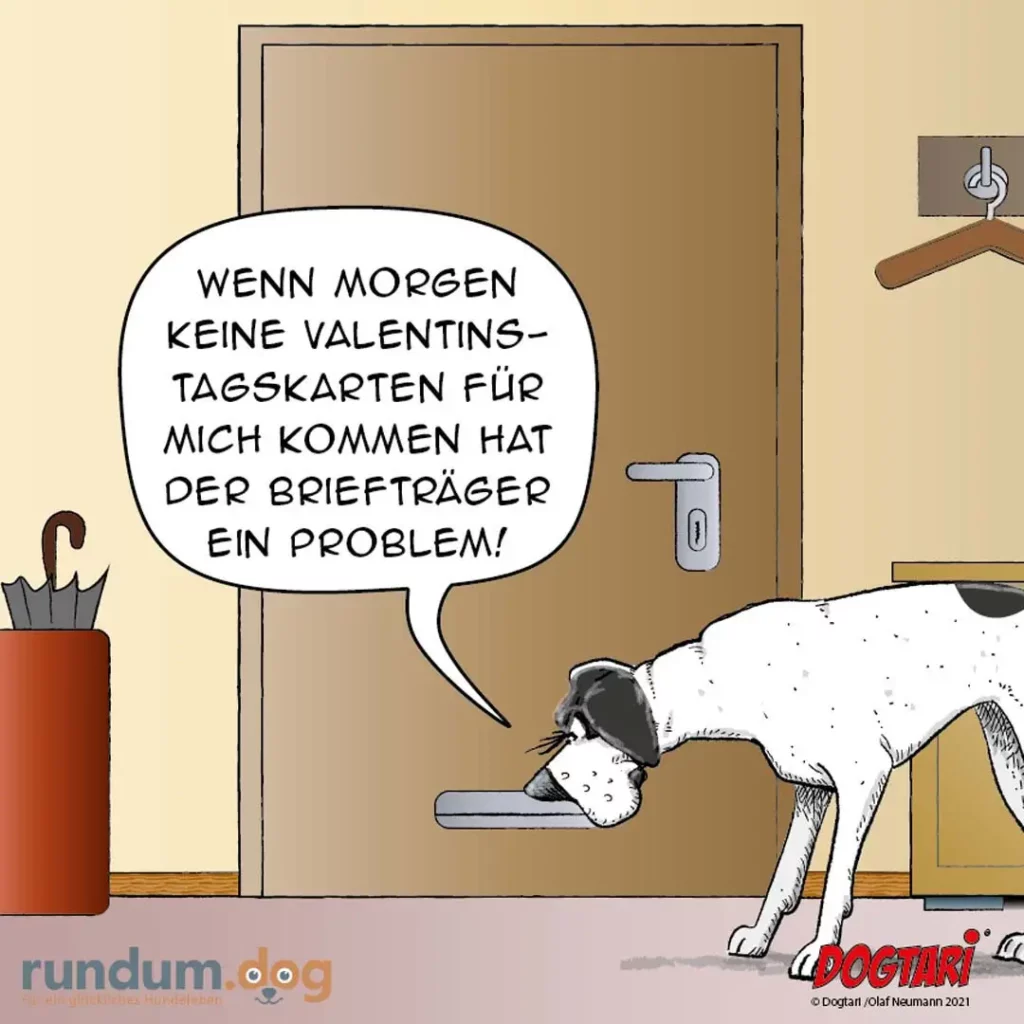 Weisser Hund sitzt vor einer Tür und sagt zum Briefträger: «Wenn morgen keine Valentinstagskarten für mich kommen hat der Briefträger ein Problem!»