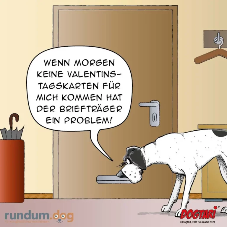 Weisser Hund sitzt vor einer Tür und sagt zum Briefträger: «Wenn morgen keine Valentinstagskarten für mich kommen hat der Briefträger ein Problem!»