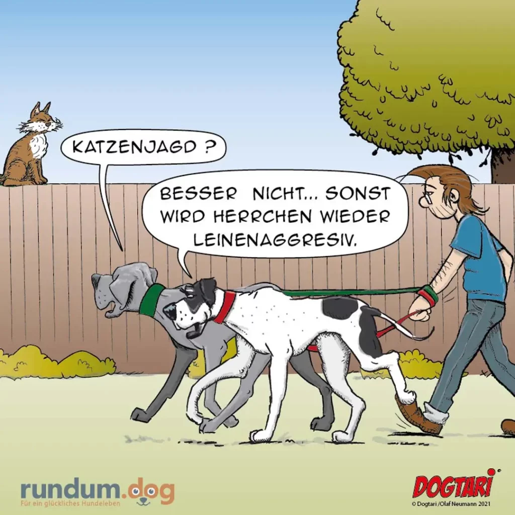 Hund an der Leine zieht nach links, Halter hält Leine fest. Katze auf dem Zaun fragt nach Katzenjagd, Halter antwortet bestimmt nein.