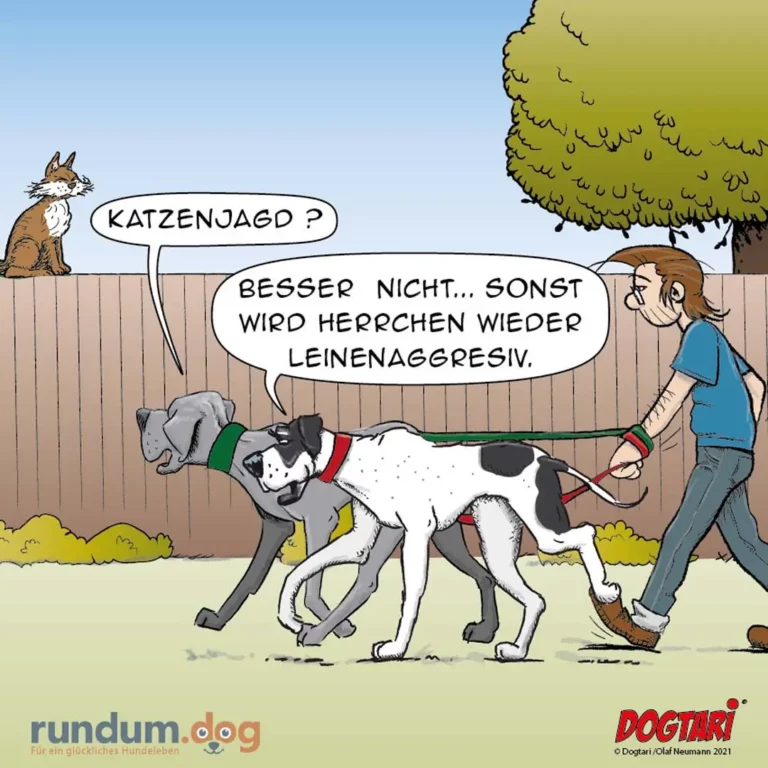Hund an der Leine zieht nach links, Halter hält Leine fest. Katze auf dem Zaun fragt nach Katzenjagd, Halter antwortet bestimmt nein.