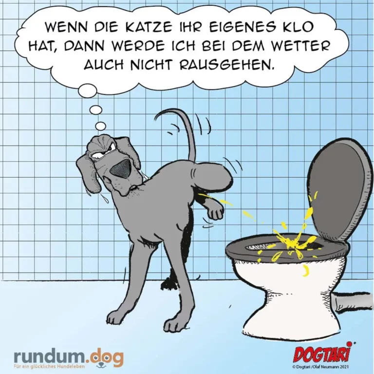Hund steht nachdenklich vor Toilette mit geöffnetem Deckel, aus dem gelbe Spritzer kommen