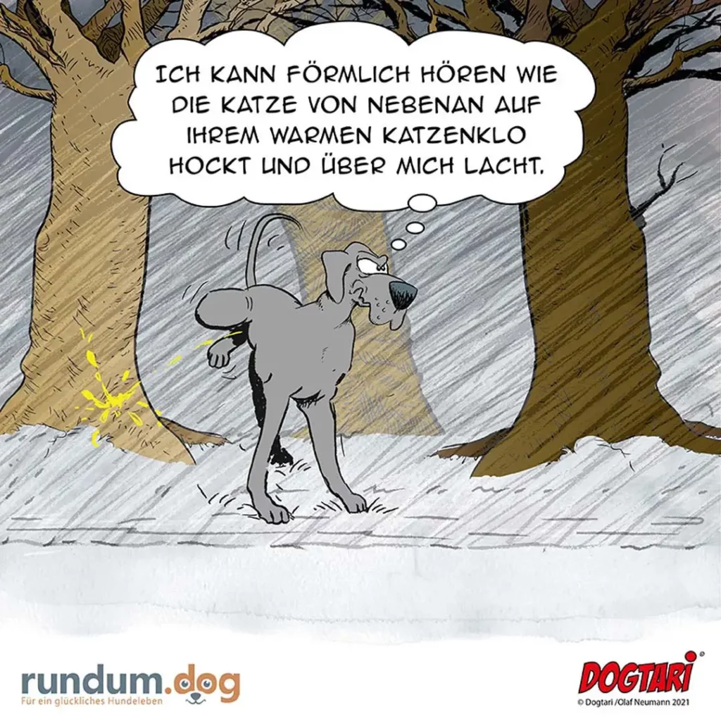 Hund steht im Schnee zwischen Bäumen und lacht in Gedankenblase über eine Katze auf warmer Fensterbank