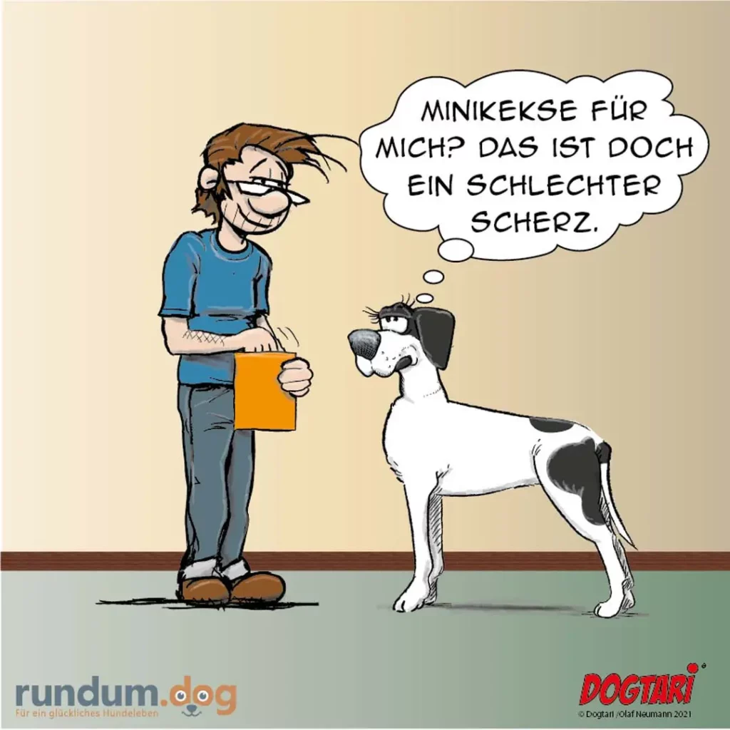 Mann hält orangenes Notizbuch und lächelt breit, Hund schaut ihn verwirrt an und denkt: Minikekse für mich? Das ist doch ein schlechter Scherz.
