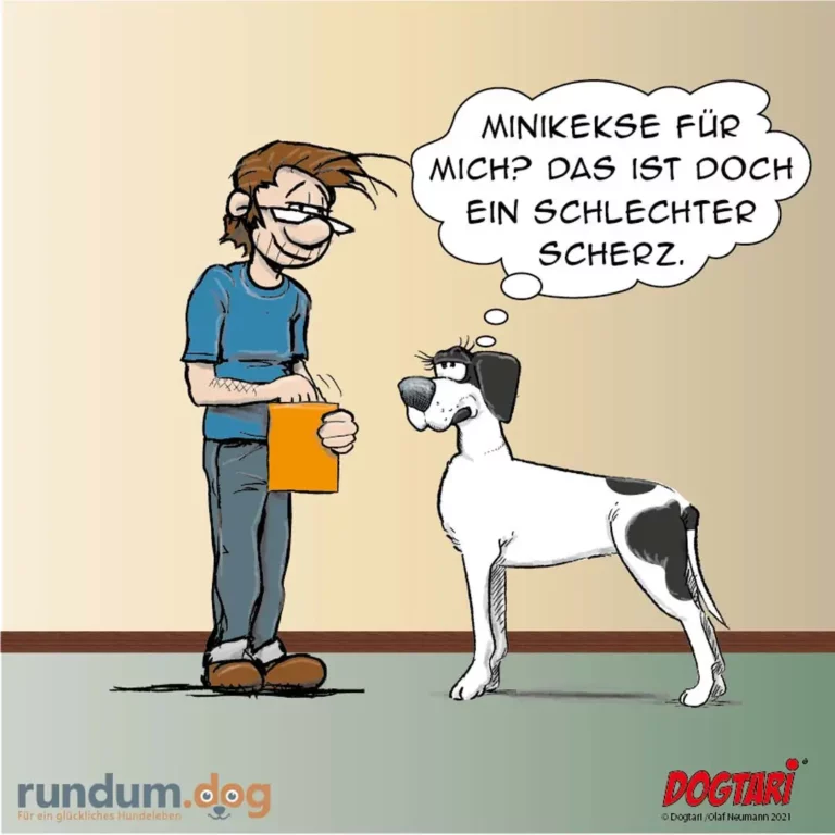Mann hält orangenes Notizbuch und lächelt breit, Hund schaut ihn verwirrt an und denkt: Minikekse für mich? Das ist doch ein schlechter Scherz.