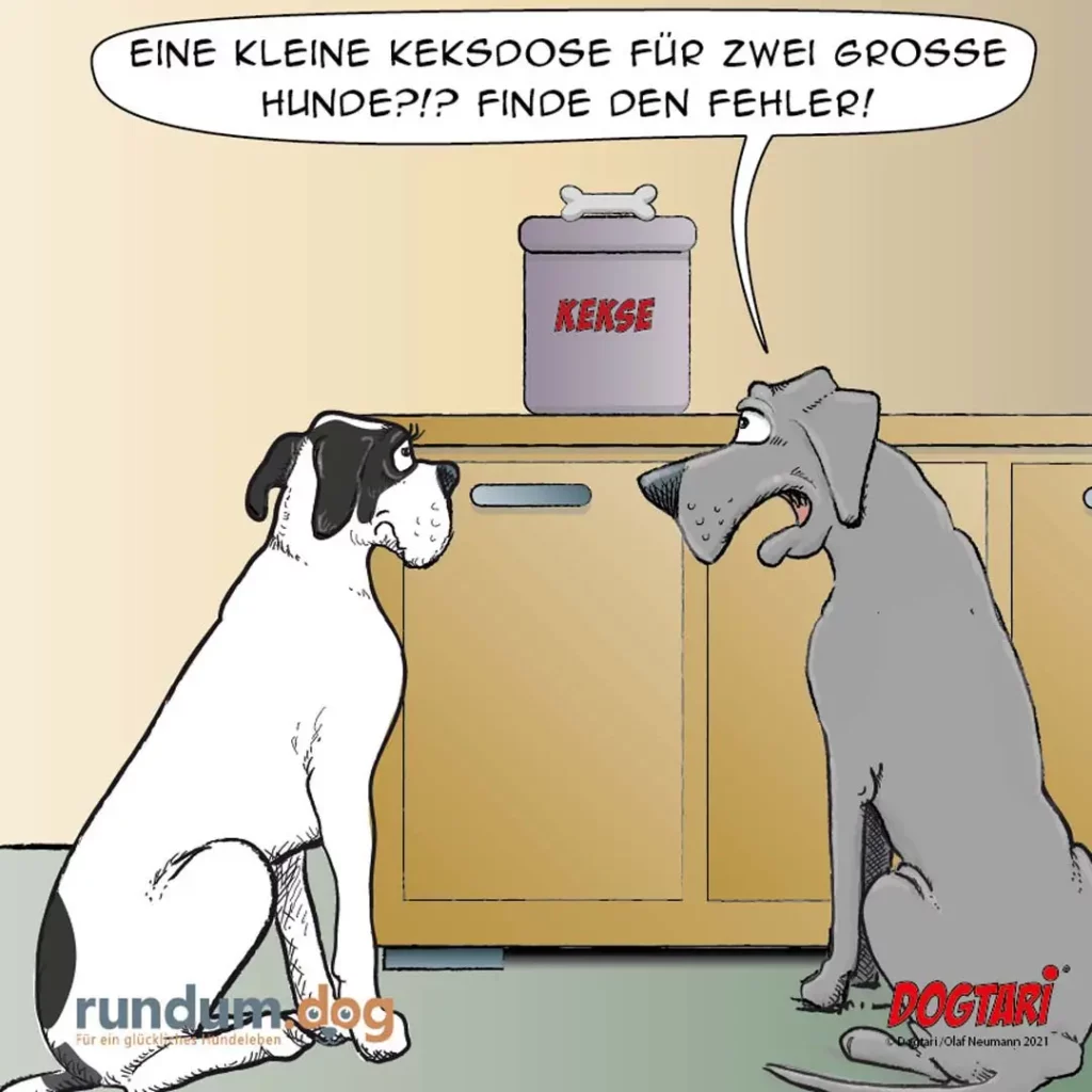 Zwei Hunde stehen sich an einer Arbeitsplatte gegenüber, auf der ein Behälter mit «KEKSE» steht. Der weisse Hund spricht zum grauen Hund.