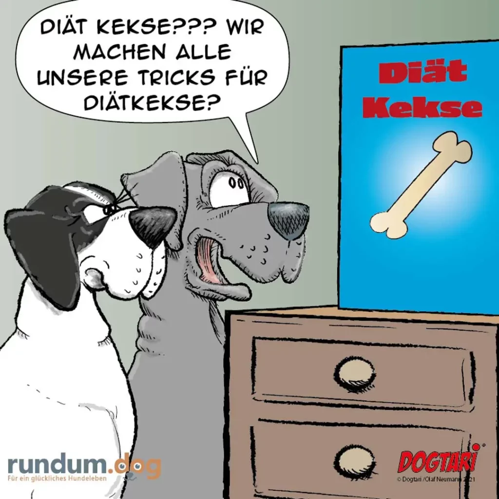 Zwei Hunde schauen auf ein Buch mit Titel «Diät Kekse», einer hält das Buch mit den Pfoten, der andere schaut verwirrt