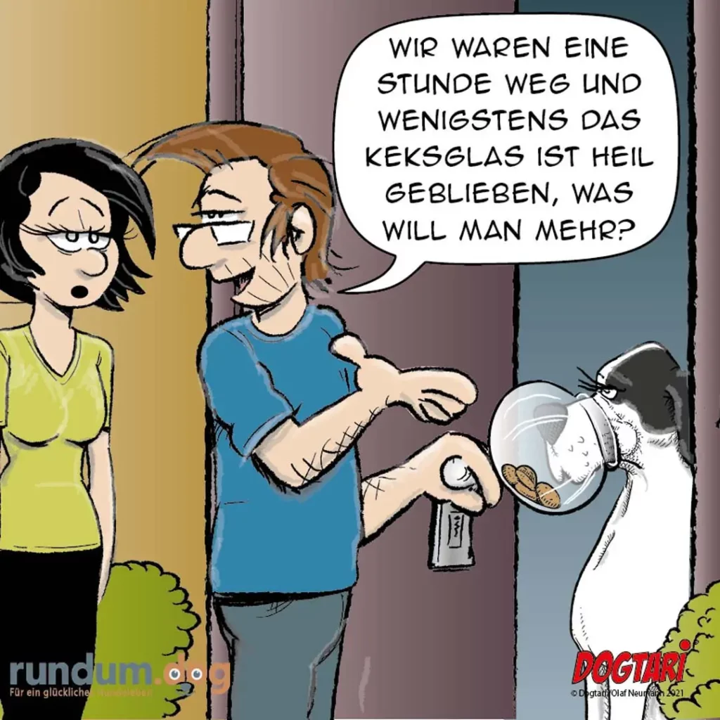 Mann hält leeren Keksteller, Frau schaut überrascht, weisser Hund schaut unschuldig weg