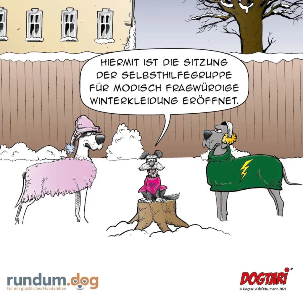 Drei Hunde im Schnee: einer in rosa Mantel mit Mütze, einer auf Baumstumpf in magentafarbenem Pullover, einer in grünem Mantel mit Blume im Ohr