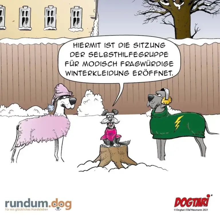 Drei Hunde im Schnee: einer in rosa Mantel mit Mütze, einer auf Baumstumpf in magentafarbenem Pullover, einer in grünem Mantel mit Blume im Ohr