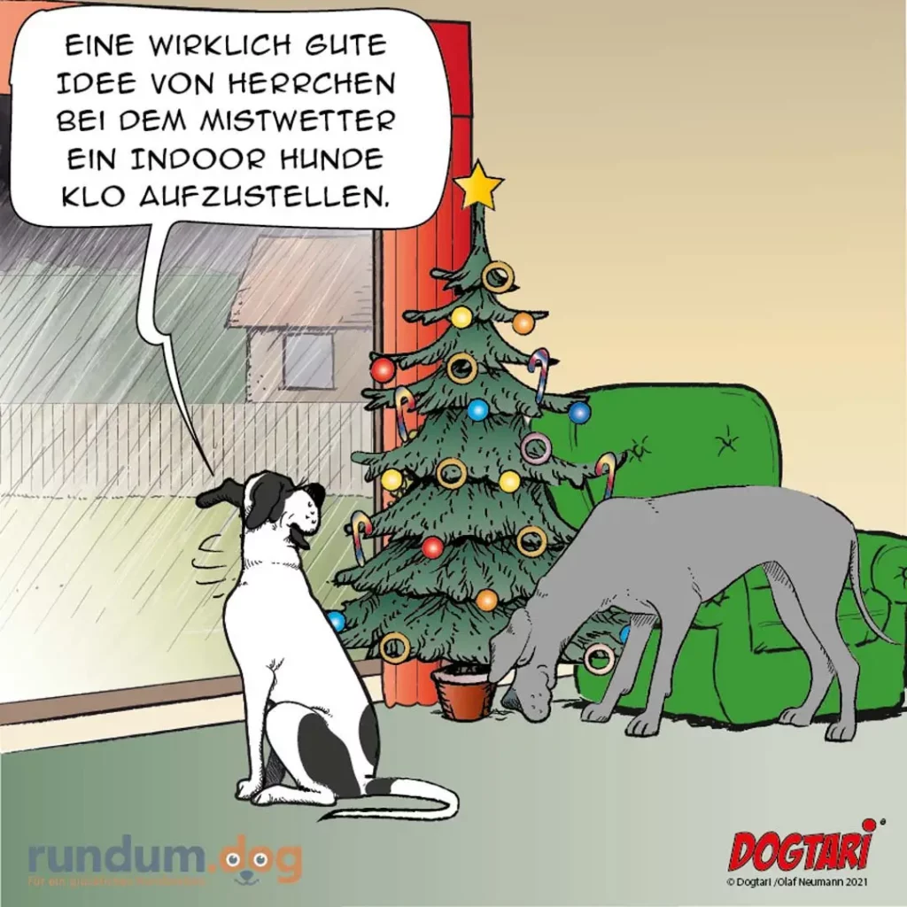 Schwarz-weisser Hund sitzt im Regen vor einem geschmückten Weihnachtsbaum, grauer Hund schnüffelt am Baumständer, Halter im Haus spricht vom Indoor-Hundetraining
